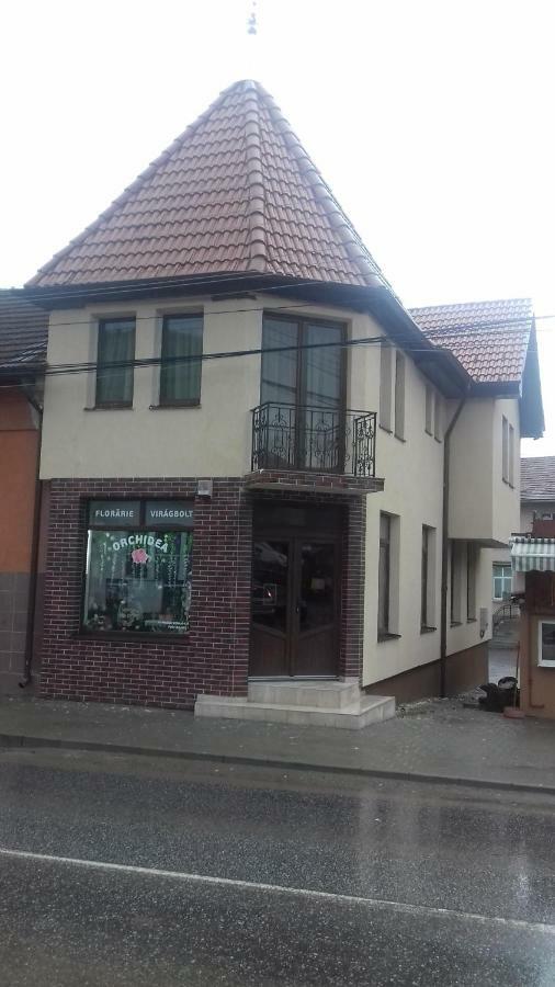 Casa Claudia Hotel Sangeorgiu de Padure Bagian luar foto